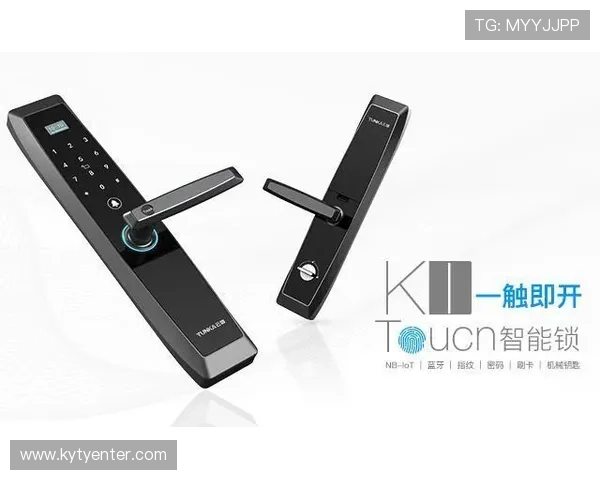 开云体育官网安全策略解析如何有效防范网络攻击风险