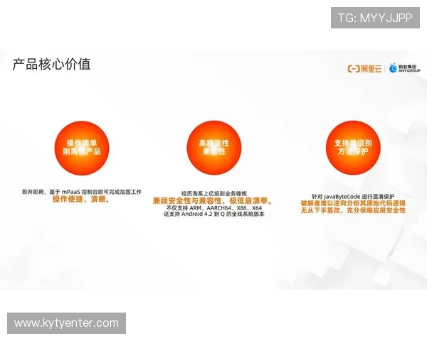 云体育app网页版登录入口安全性分析与优化建议，保障用户个人信息和账户安全的全面指南